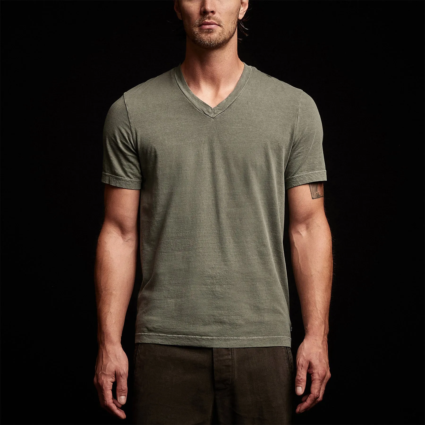 Short Sleeve V Neck - Alligator Pigment