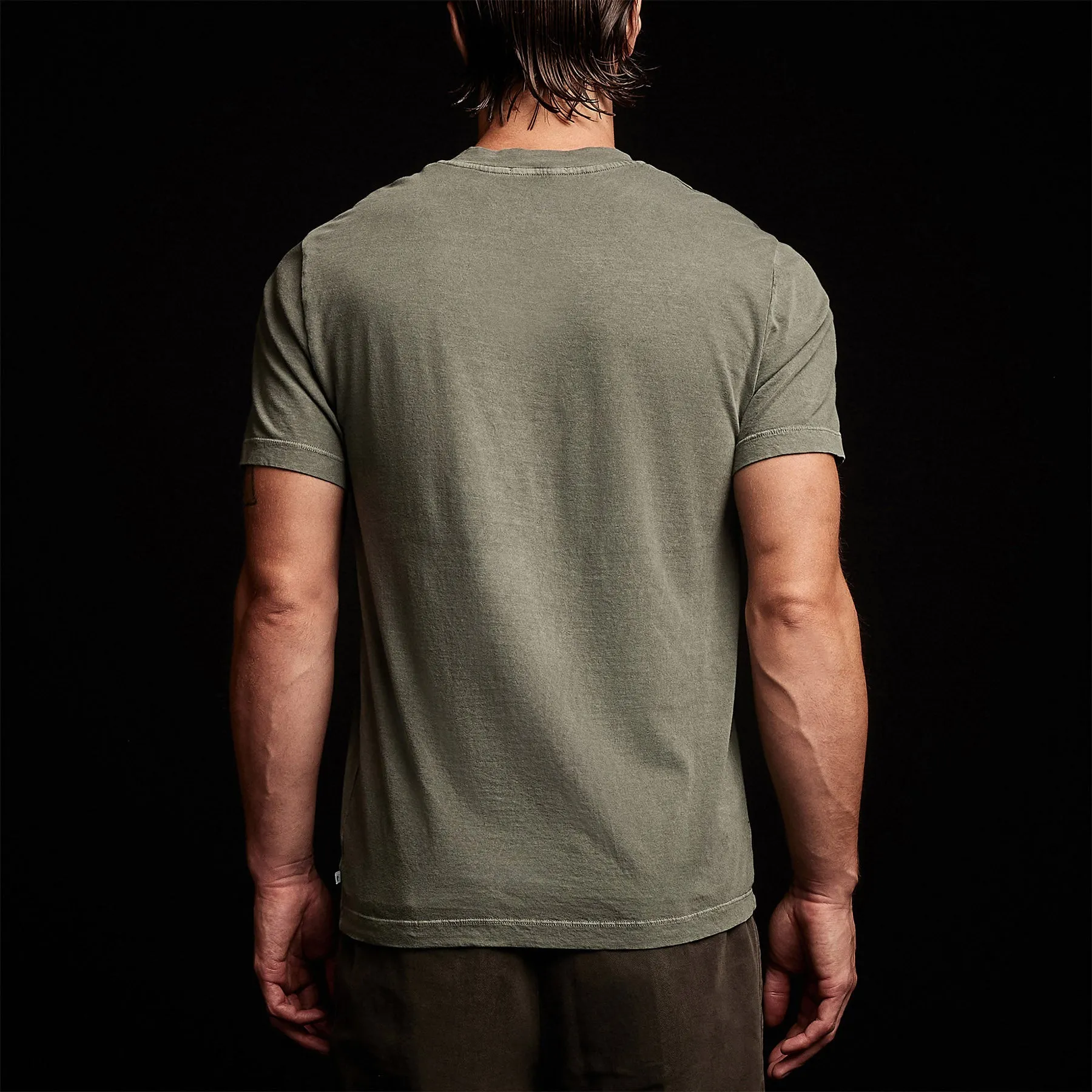 Short Sleeve V Neck - Alligator Pigment