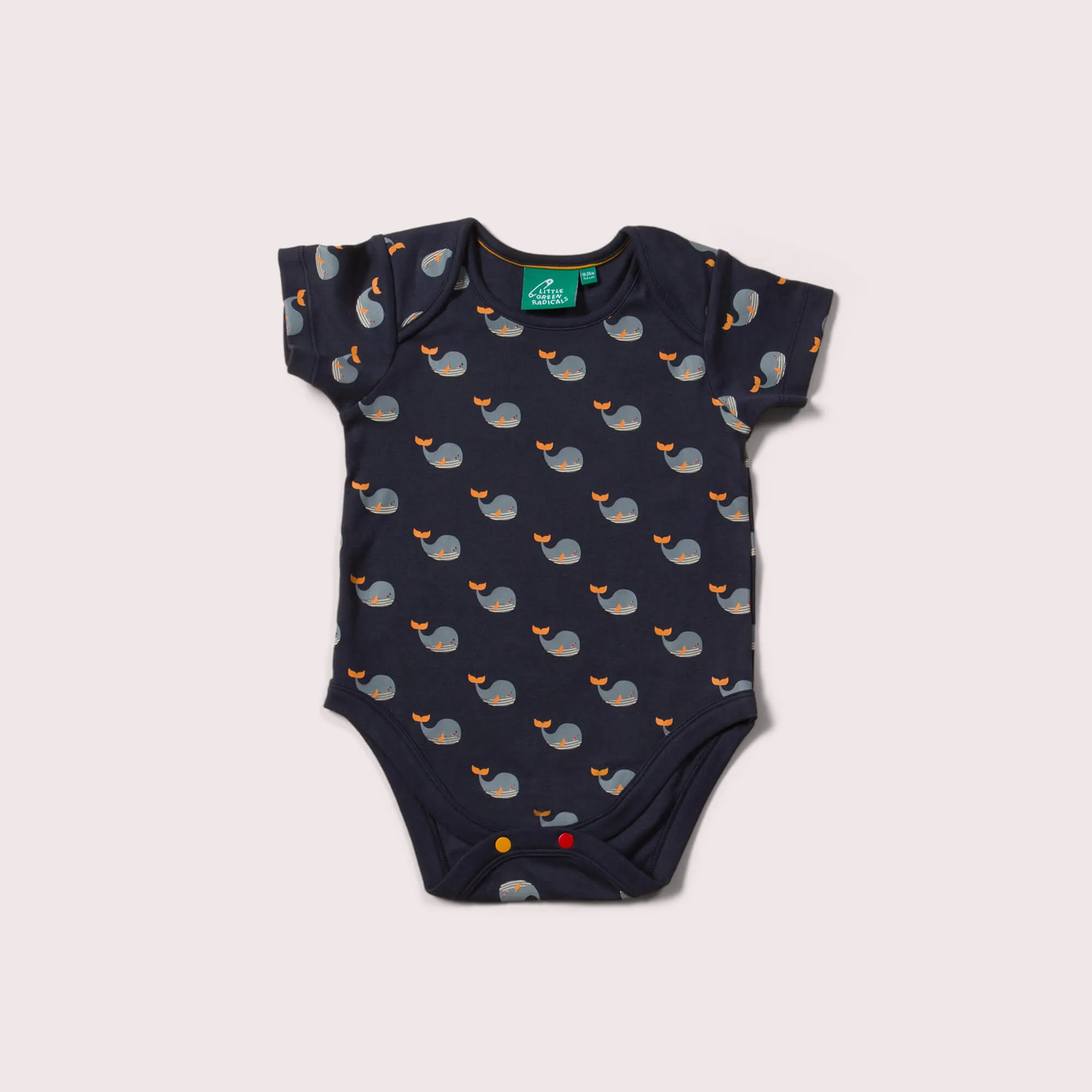 Whale Song Organic Baby Bodysuit Set - 2 Pack